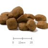 Advance Articular Care Canine para perros 12 kg