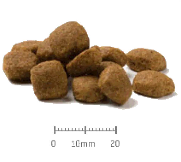 Advance Articular Care Canine para perros 12 kg
