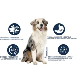 Advance Gastroenteric Canine para perro
