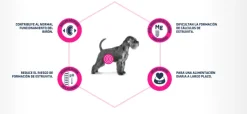 Advance Urinary Canine para perros