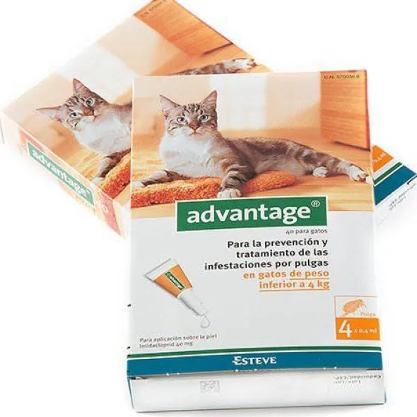 Advantage pipetas Antipulgas gatos menos de 4 kg 4 pipetas