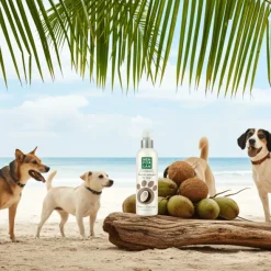 Agua Colonia COCO perros Menforsan 125 ml