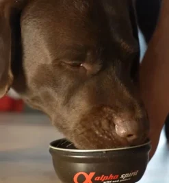 Alpha Spirit Realfood Estofado cerdo para perros