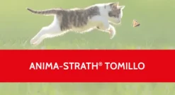 Anima Strath TOMILLO tos mascotas antitusivo