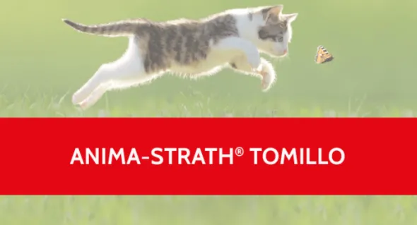 Anima Strath TOMILLO tos mascotas antitusivo