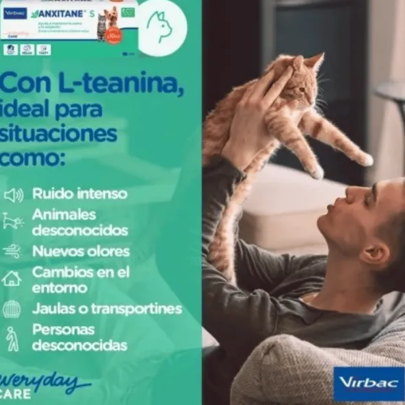 ANXITANE relajante natural comprimidos perros gatos