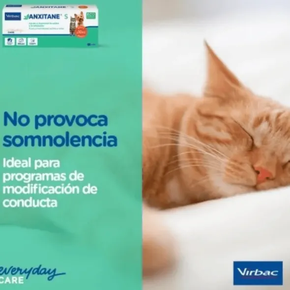 ANXITANE relajante natural comprimidos perros gatos