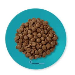 Applaws cat ocean fish salmón gatos esterilizados