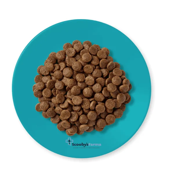 Applaws cat ocean fish salmón gatos esterilizados