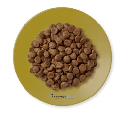 Applaws cat pollo cordero pienso para gatos adultos