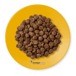 Applaws cat pollo pienso para gatos adultos