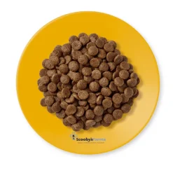 Applaws cat Senior pollo pienso para gatos senior y esterilizados