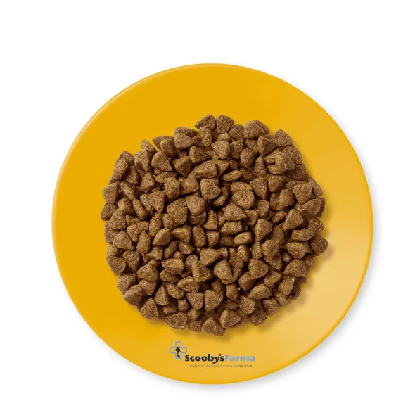 Applaws kitten pollo pienso para gatitos