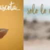 Applaws sobre GELATINA PESCADO Gatos adultos Multipack 12×70 g