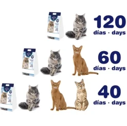Arena sílice Toilette Cat gatos