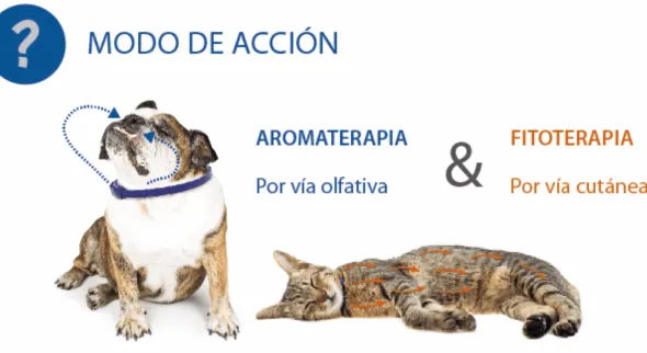 Aromacalm Gatos collar calmante para gatos