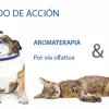 Aromacalm Perros collar calmante para perros