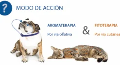 Aromacalm Perros collar calmante para perros