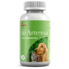 Artennua Artemisia Annua sistema inmune oncológico perros gatos 90 cápsulas