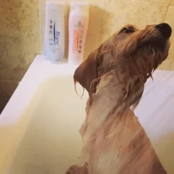 Artero Champú Hidratante para perros