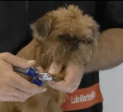 Artero CORTAÚÑAS Pequeño para perros y gatos