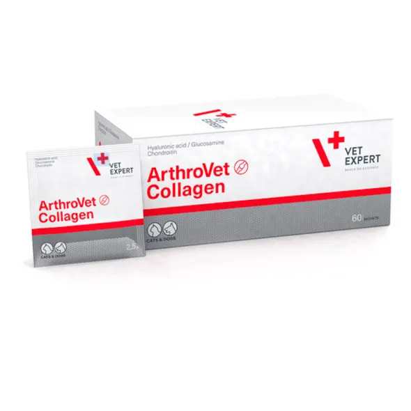 ArthroVet Collagen osteoartritis perros gatos 60 sobres