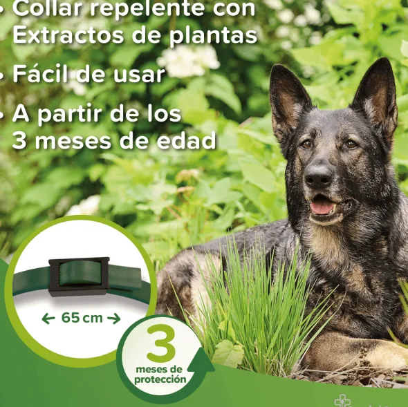 Beaphar Collar Repelente perros 65 cm