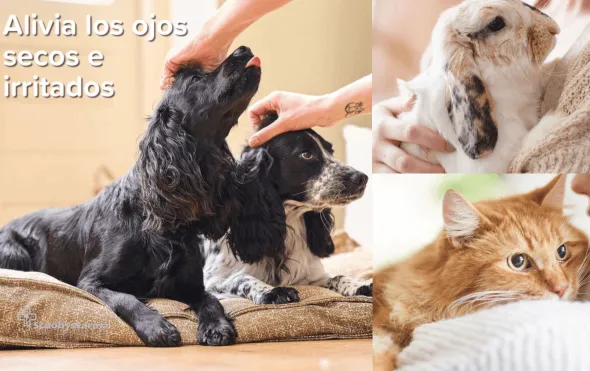 Beaphar Gel Ocular peros gatos mascotas 5 ml