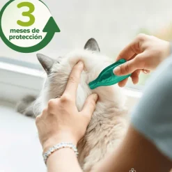 Beaphar Spot on gatos pipetas repelentes 3×1 ml