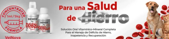 Bener RC anemia perros gatos