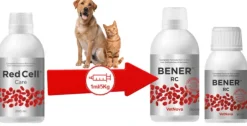 Bener RC anemia perros gatos