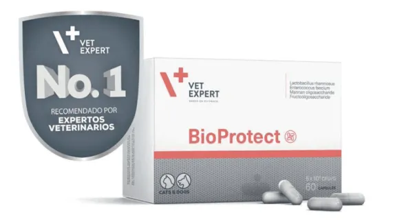 BioProtect probióticos prebióticos perros gatos 60 cápsulas