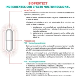 BioProtect probióticos prebióticos perros gatos 60 cápsulas