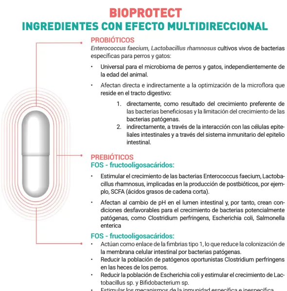 BioProtect probióticos prebióticos perros gatos 60 cápsulas