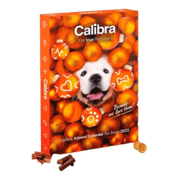 Calendario de Adviento 2025 perros Calibra