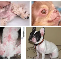 Calibra HYPOALLERGENIC skin and coat support perros