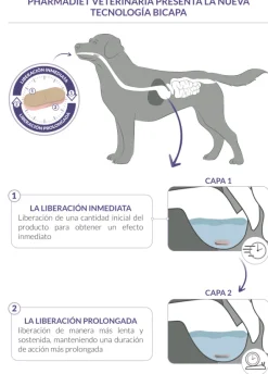 Calmatonine XR Bicapa tranquilizante perros gatos comprimidos