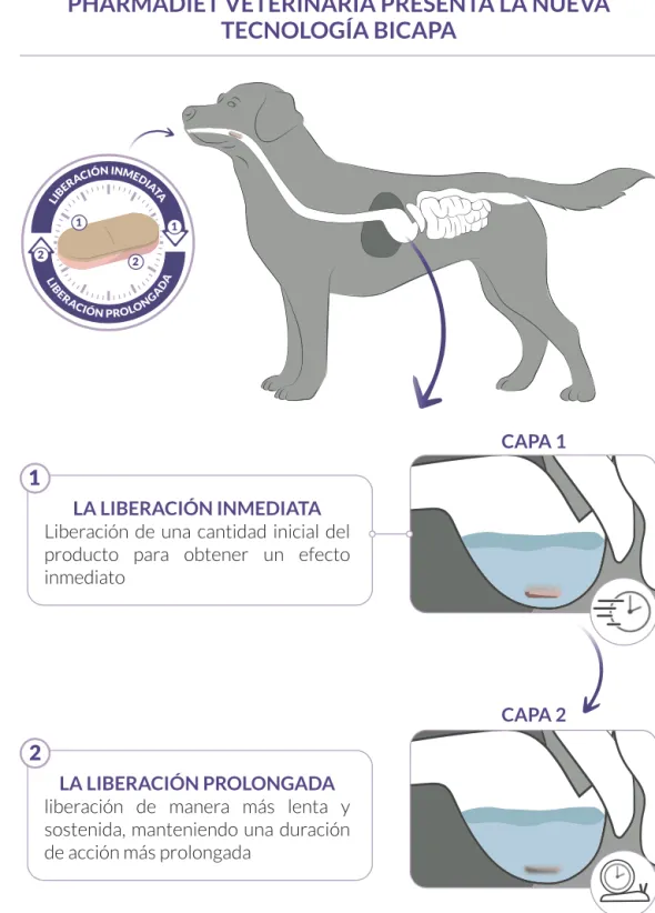 Calmatonine XR Bicapa tranquilizante perros gatos comprimidos