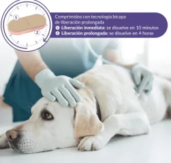 Calmatonine XR Bicapa tranquilizante perros gatos comprimidos