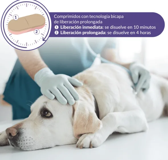 Calmatonine XR Bicapa tranquilizante perros gatos comprimidos