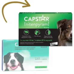 CAPSTAR perros comprimidos antipulgas 6 comprimidos perros 11,1 a 57 kg