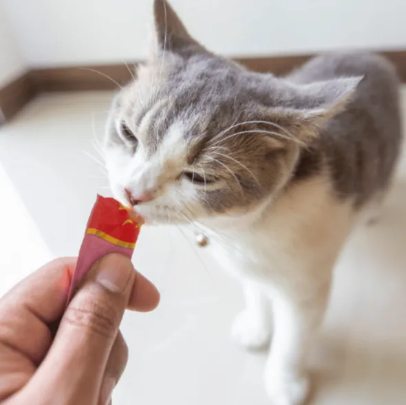 Churu cat variedades POLLO BOTE 50 snacks crema para gatos