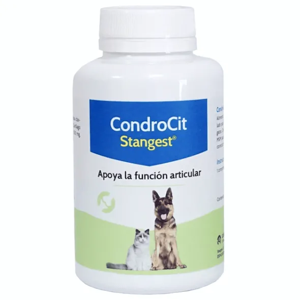 CONDROCIT condroprotector perros gatos