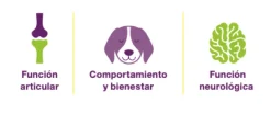 Cronicare Collar perros gatos con CBD y Mentol 60 cm