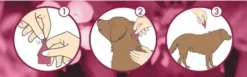 Dermoscent ATOP 7 Spot-On para perros y gatos Piel atópica, picor y dermatitis