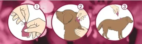 Dermoscent ATOP 7 Spot-On para perros y gatos Piel atópica, picor y dermatitis