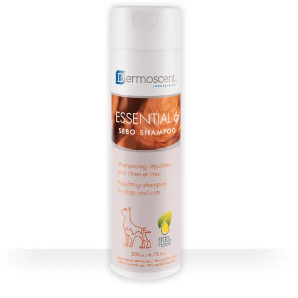 Dermoscent Essential 6 sebo Shampoo seborrea perros gatos 200 ml