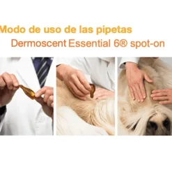 Dermoscent essential 6 spot on 4 pipetas cuidado piel perros