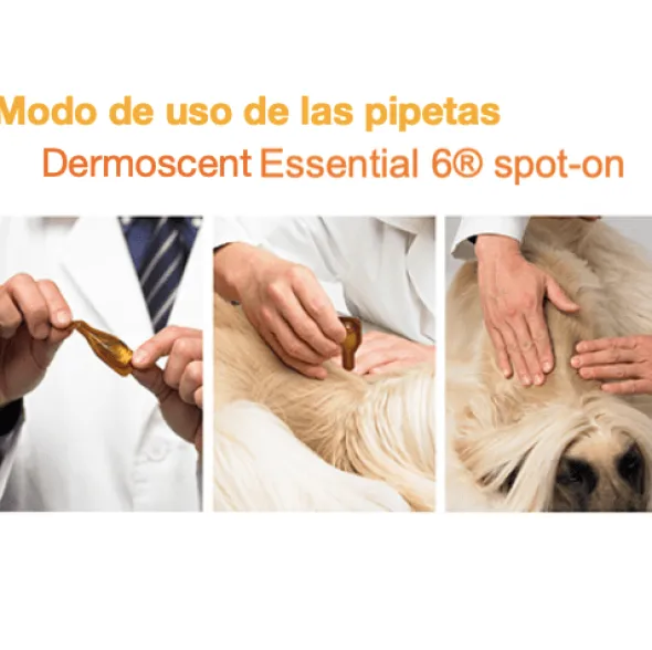 Dermoscent essential 6 spot on 4 pipetas cuidado piel perros