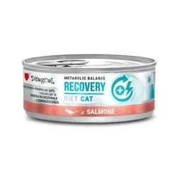 Disugual Recovery cat SALMÓN 12×85 g